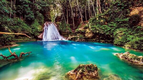 - Travel And Tour World Jamaica_1